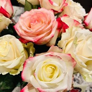 Meet your Posher, Rhonda